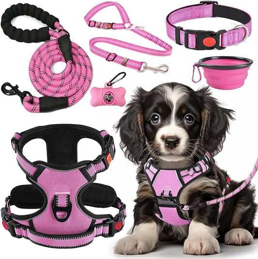LOBEVE No Pull Dog Harness, Collar & Leash Set | Includes Dog Seat Belt, Collapsible Bowls & Poop Bag Dispenser. Ideal for Training, Walking, Hiking. Fits Small to Large Dogs(Pink-M)
