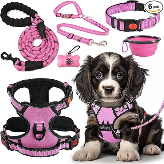 LOBEVE No Pull Dog Harness, Collar & Leash Set | Includes Dog Seat Belt, Collapsible Bowls & Poop Bag Dispenser. Ideal for Training, Walking, Hiking. Fits Small to Large Dogs(Pink-S)