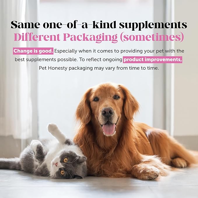 Cat Probiotics Gut + Immune Health Chews – Crunchy & Creamy Cat Treats for Digestive Health, Gut Flora & Constipation Relief – Supports Immunity, Regularity, & Healthy Digestion, 30-Day Supply Chicken