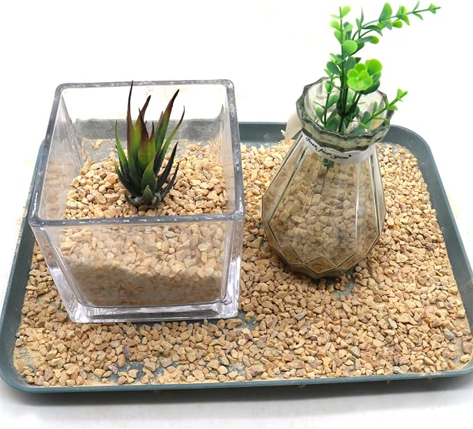 Light Brown Coarse Sand for Plants, Horticultural Sand, 1/8 Inch, 10 lbs