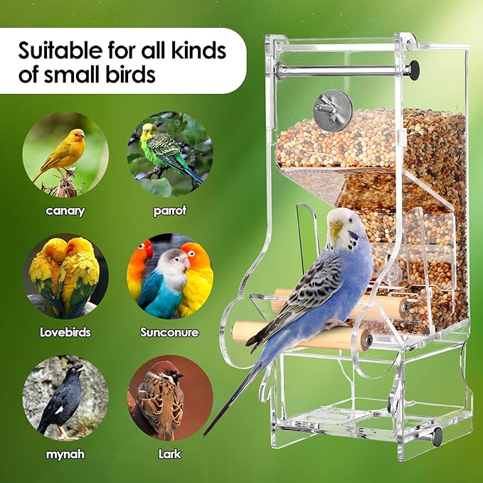 2PCS No Mess Bird Feeder, Transparent Acrylic, Reducing Waste, Suitable for Small Birds