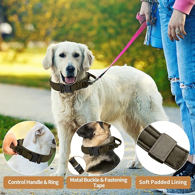 Tactical Dog Collar - Military Dog Collar, Adjustable Heavy Duty Metal Buckle Nylon Collar with Control Handle for Small Medium Large Dogs (Green, M)