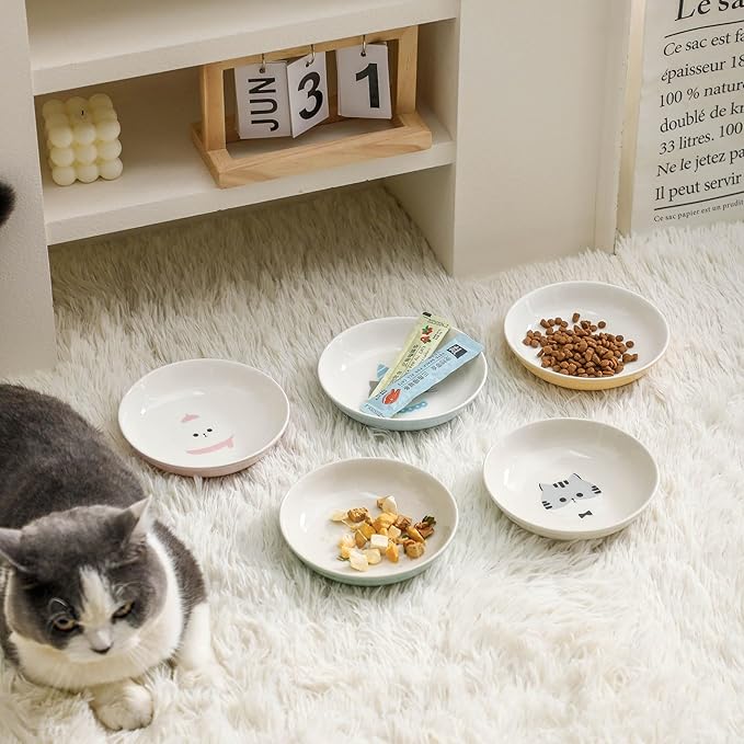 Ceramic Cat Bowls Set - 5.7 inch Wide Cat Food Bowls Whisker Fatigue Friendly, 5 Colorful Kitten Dish Plates with Cute Pattern for Wet and Dry Food Water