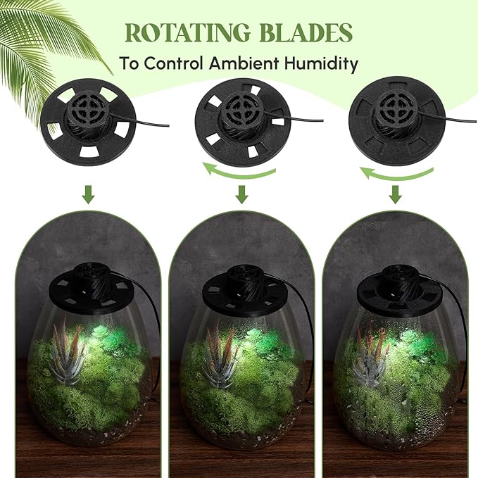 Maxdot Glass Plant Terrarium Kit with Light for Succulent, Moss, Miniature Gardening Landscape, Betta Fish Tank, Office Home Decoration, Plant Lovers Gifts (6.9 x 7.8 Inch)