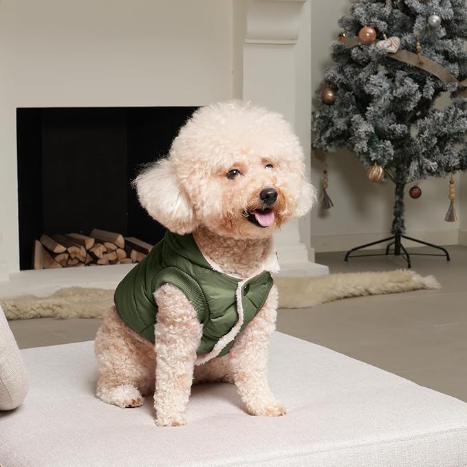Vecomfy Fleece Lining Extra Warm Dog Hoodie in Winter for Small Dogs Jacket Puppy Coats with Hooded Green M