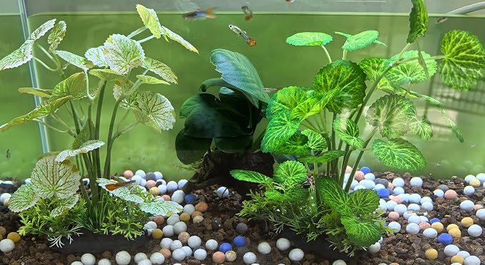 M2cbridge Fish Tank Plastic Soft Grass Water Plants 2pcs Serrated Leaf | zero maintenance, soft without scratching, healthy underwater home