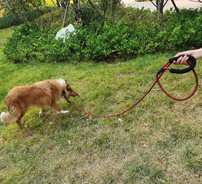 MayPaw Heavy Duty Rope Dog Leash, 3/4/5/6/7/8/10/12/15 FT Nylon Pet Leash, Soft Padded Handle Thick Lead Leashes for Large Medium Dogs (red Black, 1/2" * 10')