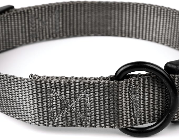 Country Brook Petz - Everyday Nylon Dog Collar and Leash - 10+ Cool Colors (1 Inch, Large, Charcoal)