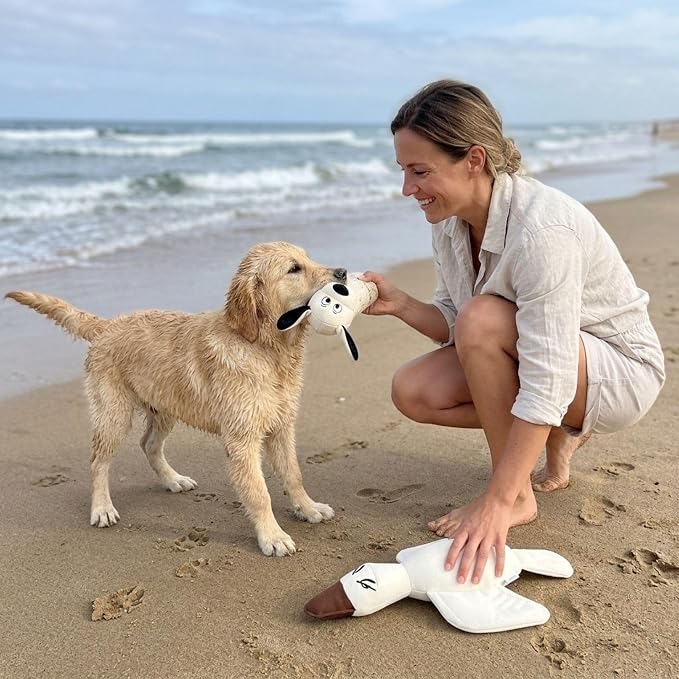 Durable Tough Cotton Canvas Squeaky Dog Toys, Eco-Friendly Interactive 2-Pack Chew Toy Set for Small, Medium & Large Dogs, Ducky & Dawgy (White)