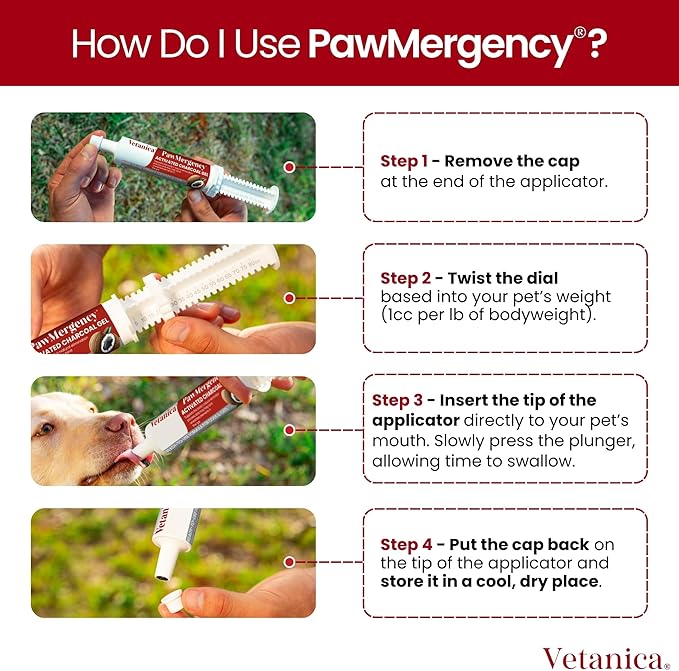 PawMergency – Activated Charcoal First Aid Kit Emergency Rescue 5 Pack for Dogs, Cats, Puppy & Pet Poison Kit, Camping Survival Remedy Essential, Oral Anti Diarrhea Digestive Absorb Toxins