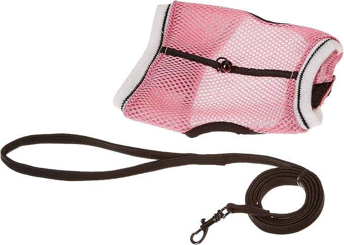 Ware Manufacturing Nylon Walk-N-Vest Pet Harness and Leash for Small Pets, Extra Large - Colors May Vary