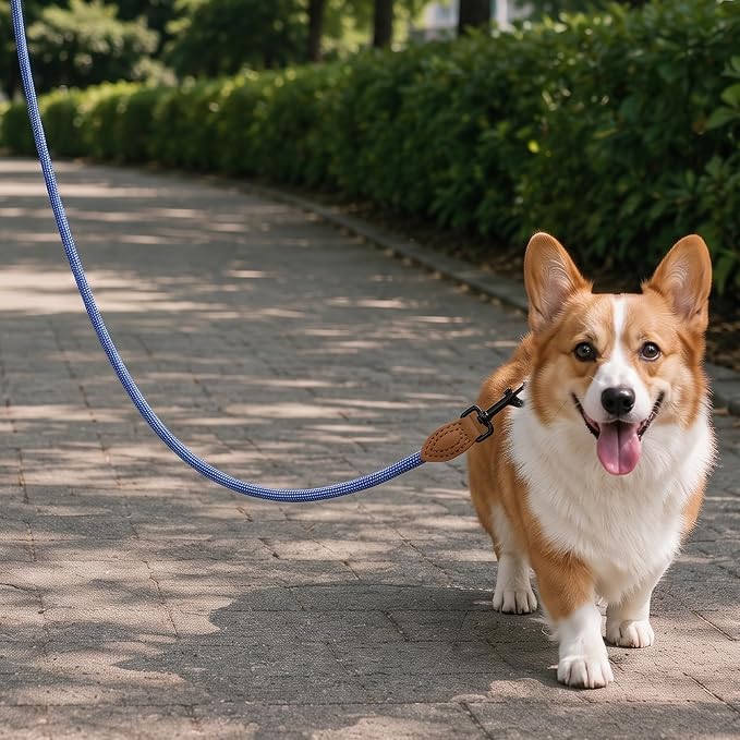 Mile High Life Rope Leash with Genuine Leather Connection, 6 FT/5 FT/4 FT, Heavy Duty Leash for Medium & Large Dogs (Blue White, 60 Inch)