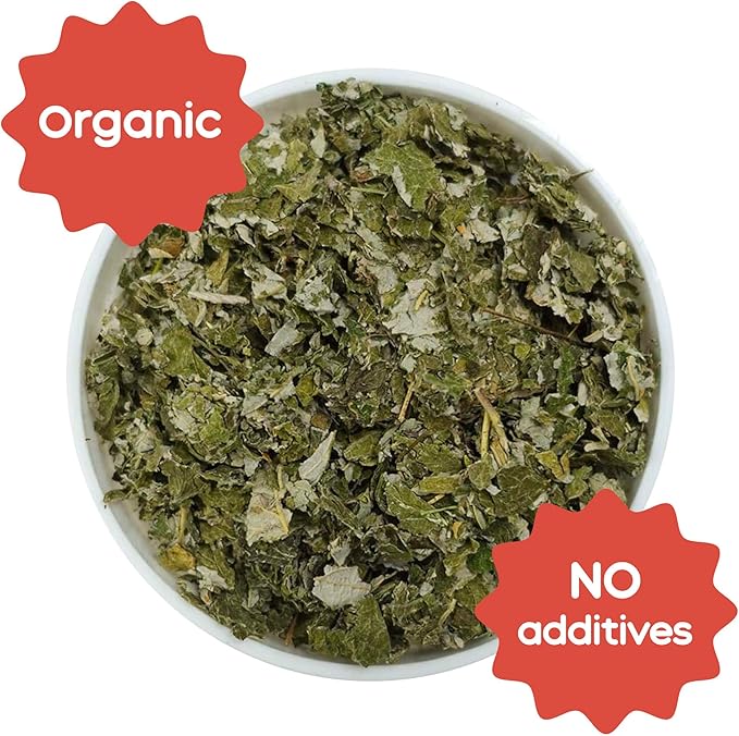 GuineaDad Organic Guinea Pig Herbal Treats - Guinea Pig Food with Convenient Packaging - Raspberry Leaf Flavor - 10 fl. oz - Guinea Pig Treats Help with Bonding - High in Nutrition and Fiber- Small