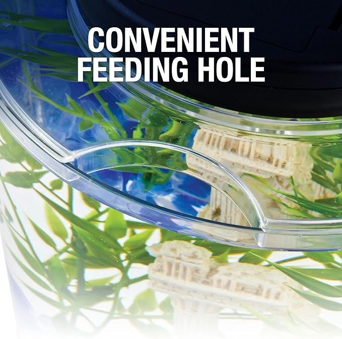 Tetra LED Half Moon Aquarium Kit, 1.1 Gallons, Small, Clear Plastic Fish Tank With Curved Front, Easy Feeding And Movable, Energy-Efficient LEDs Ideal For Bettas Great As Desk Aquarium