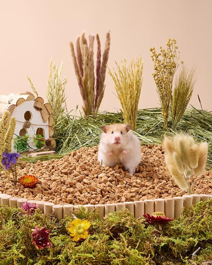 BUCATSTATE Natural Hamster Bedding - Flowers & Herbs & Sprays for Cage Habitat Decor - Treat Cereal Grain for Dwarf Syrian Gerbils, Mice, Rat, Forage, Enrichment (60PCS)