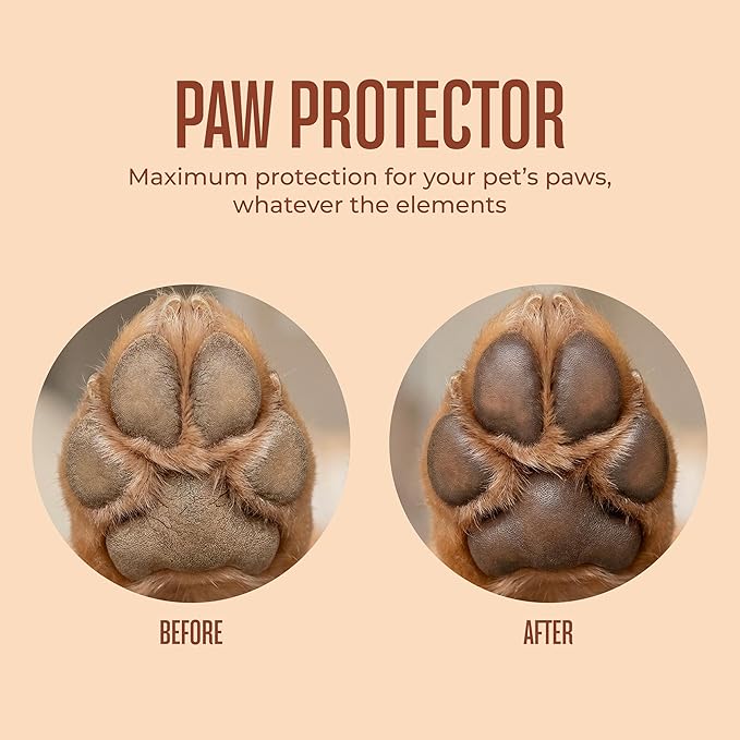 WagWell Paw Protector Dog Paw Balm | Lick-Safe, Vet-Approved Paw & Nose Balm | Microbiome-Friendly, Dermatologist Tested | Hot Pavement & Cold Weather Protection | To Hydrate, Condition & Protect Paws