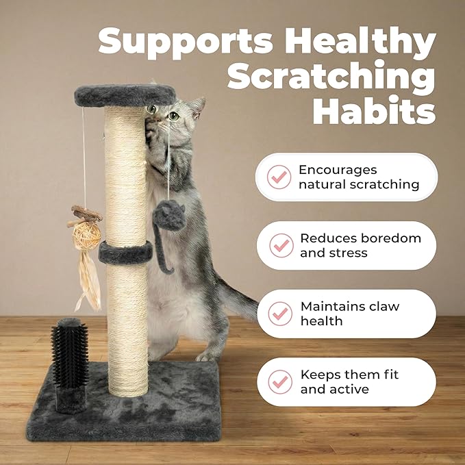 Best Pet Supplies Catify Cat Scratcher, Fun Interactive Scratchers, Posts, Poles, Claw Safe, Furniture Saver Indoor Play Support Natural Cat Behaviors Heavy Duty - Gray, 15.71 x 15.71