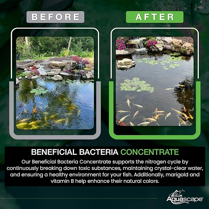 Aquascape Beneficial Bacteria Concentrate for Pond and Water Features, 1.1-Pound, 98949