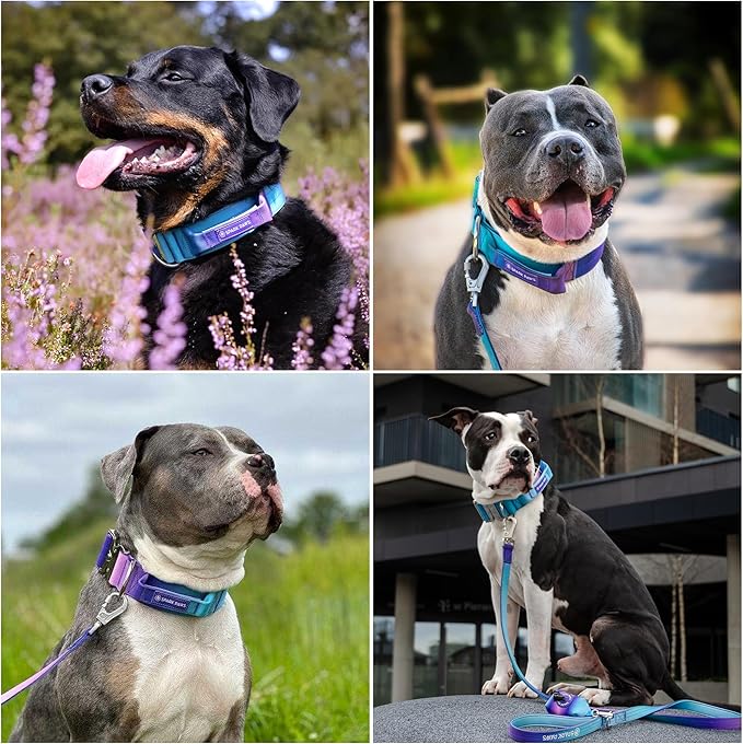Spark Paws Tactical Dog Collar - Heavy Duty, Premium Quality, Thick and Durable for Large and Medium Dogs - 90s Retro - M - 1.5"