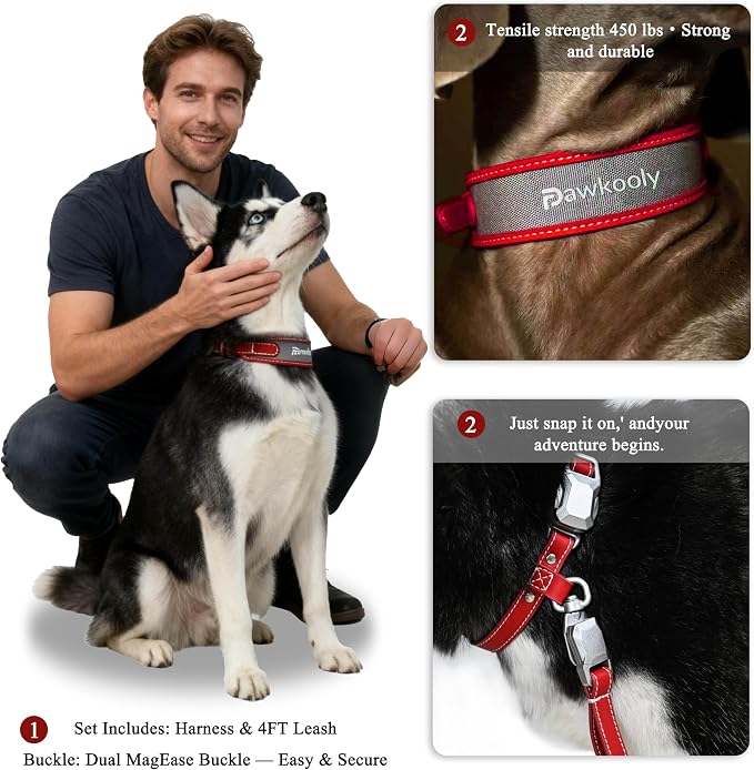 MagEase Dog Collar with 4FT Leash | Adjustable | Anti-Wrinkle, Bite & Stain-Resistant Leather | Soft & Skin-Friendly | 450LB Escape-Proof Magnetic Buckle (Red, Small)
