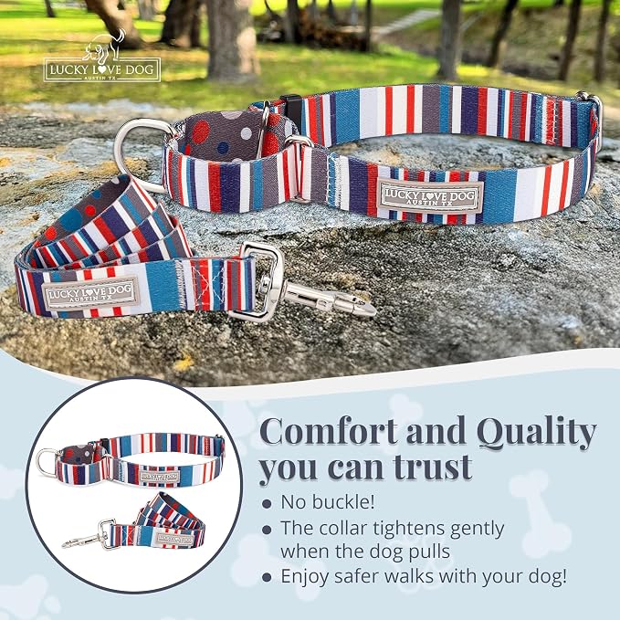 Lucky Love Dog Martingale Dog Collar & Leash - Adjustable, No-Slip, Durable, Comfortable, Soft Webbing, & Stylish Patterned Dog Collar & Leash Set for Male and Female Dogs - Linus Combo, Medium