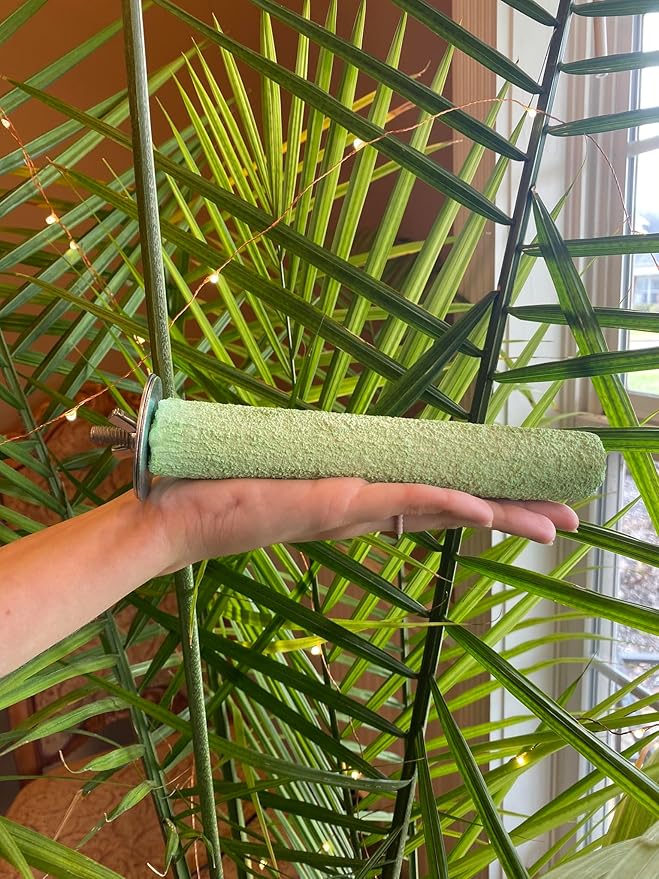 Polly's Pastels Nail Trimming & Beak Conditioning Safety Perch for Cockatiels, Cockatoos, Macaws, Parakeets, Budgies, Parrots and All Other Birds (Green, Medium-1 1/4" Dia. x 8" Long)