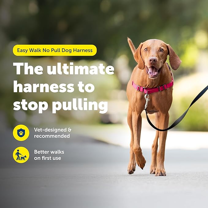 PetSafe Easy Walk Harness for Dogs - Pull-Free Walks - Patented Martingale Loop Design - Front Chest Leash Attachment - Comfort Straps - Breathable Harness Design - Medium, Red/Black