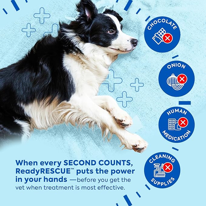 Dr. Cuddles ReadyRESCUE Activated Charcoal Powder for Dogs and Cats - Veterinary-Grade Pet First Aid Kit Essential - Fast Acting Emergency Poison Binder - Safe and Travel Ready - 30 g Pack of 1