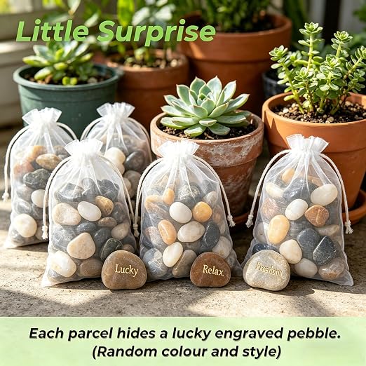 SIDONG 20 LB Mixed River Rocks, 0.3-0.5 Inches High Polished Pebbles for Indoor Plants, Aquarium Rocks Used in Fish Tank, Decorative Stones for Plants, Vases, Home Décor, Crafting, Garden Landscaping