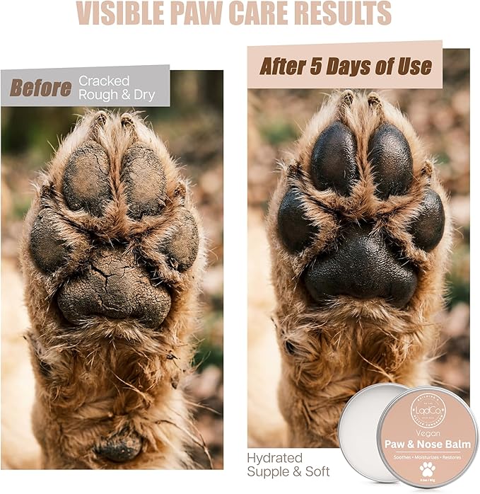 All in One Natural Vegan Dog Paw and Nose Balm, Winter and Summer Paw Protection from Snow, Ice, Salt and Hot Pavement, Moisturizes and Repairs Dry, Cracked Paws, Lick Safe, 2.0 oz,
