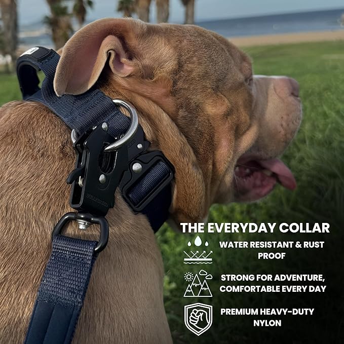 Heavy Duty Dog Collar, Tactical Dog Collar, Dog Collars for Medium Dogs, Waterproof Dog Collar, Dog Training Collar, Quick-Release Metal Buckle, Adjustable Sizes – BULLYBREED (Navy Blue, Medium)