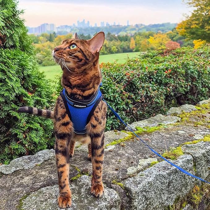 rabbitgoo Cat Harness and Leash Set for Walking Escape Proof, Adjustable Soft Kittens Vest with Reflective Strip for Cats, Comfortable Outdoor Vest,Blue,L
