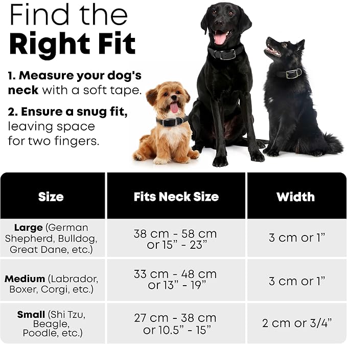Regal Dog Products Small Black Waterproof Dog Collar and Leash Set | Heavy Duty Double Buckle & D Ring - 5'ft Leash | Adjustable Biothane Dog Collar | Chew Resistant Waterproof Collar for Dogs