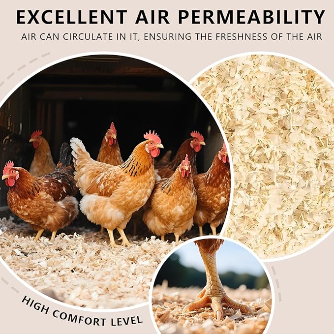 Pine Shavings | Wood Shavings | Chicken Coop Bedding | All Natural | Chicken Coop | Chicken Bedding | Pet Bedding | Small Animal Bedding | Odor Control (1 LB)