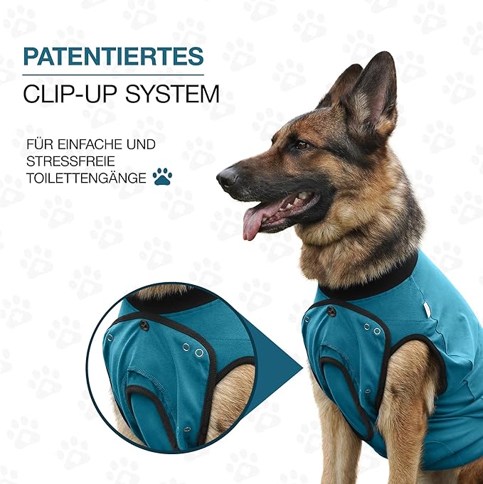 BellyGuard Dog Surgery Recovery Suit, Dog Onesie for Post-Op Care, Recovery Apparel for Female and Male, Surgical Body Cover for Canine Healing Support