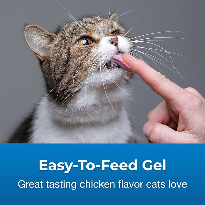 PetAg Hairball Solution Gel Supplement for Cats - 3.5 oz - Helps Prevent and Reduce Hairballs in Cats 6 Months and Older