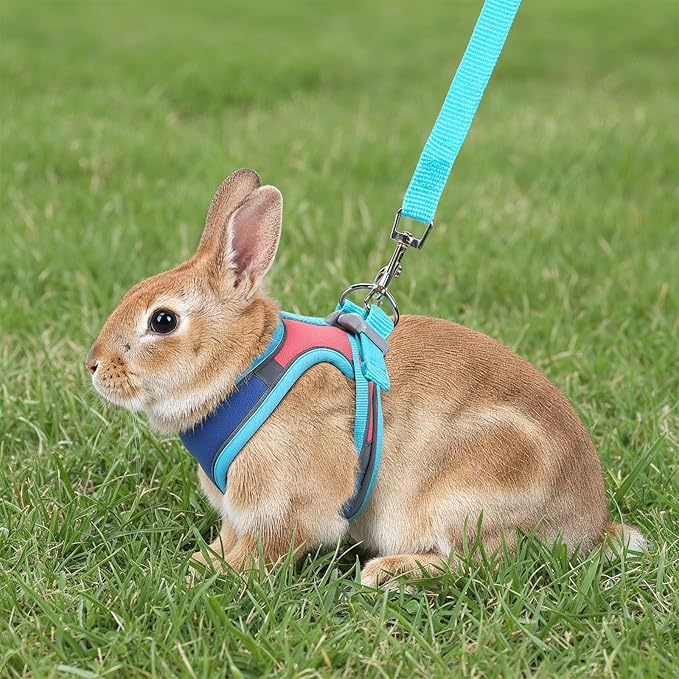Adjustable Bunny Harness and Leash Set, Double Buckles Breathable Mesh Rabbit Vest with Reflective Strips, Escape Proof Small Pet Walking Training Gear for Rabbits, Kittens, Ferrets, Guinea Pigs (S)
