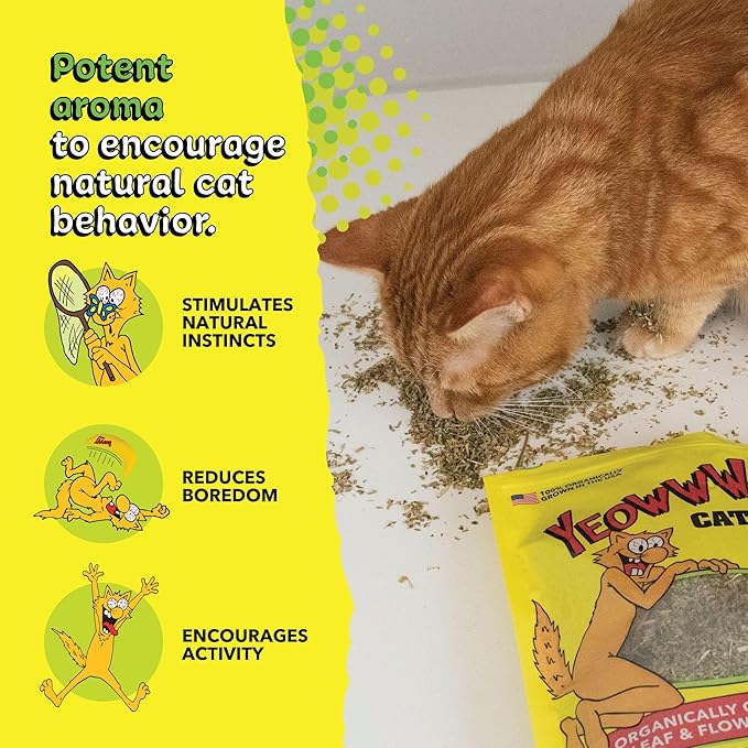Yeowww! Organically Grown Catnip for Cats - 2oz Pouch - Premium Leaves & Flower Tops - No Fillers - Chemical-Free - Grown in the USA