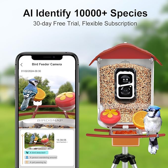 birdsnap® PAV-Bird Feeder with Camera,2K HD with 64GB Card, AI Identify Smart Bird House Cam Solar Panel,Live Stream,Motion Detection,Auto Record Video for Backyard Outdoors,Ideal Gift for Bird Lover
