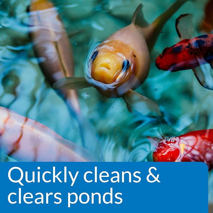 API Pond Water Care Bundle - Clarifier + Conditioner