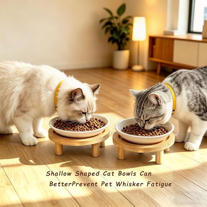 Shallow Elevated Cat Bowls, 2, White (Fish Bone), Bamboo Stand | 5.9 Inch Wide, Ceramic Dishes, Whisker Friendly, Raised Pet Food, Adjustable