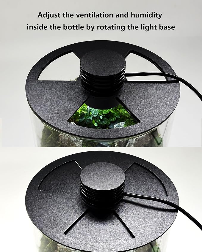Desktop Glass Terrarium with Grow Light (9.8" H x 5.9" D) - for Succulents, Moss, Mini Gardens, Betta Fish Tanks, Mushroom Cultivation | Indoor Plant Growth | Office/Home Decor | Plant Lover Gifts