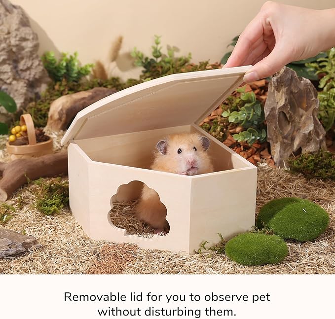 Natural Wooden Hamster House Hideout Small Animals Habitat Exploring Toys for Dwarf & Syrian Hamster, Gerbils, Mice, Rats, Hedgehog, Lemmings (Chestnut Shape Hole)