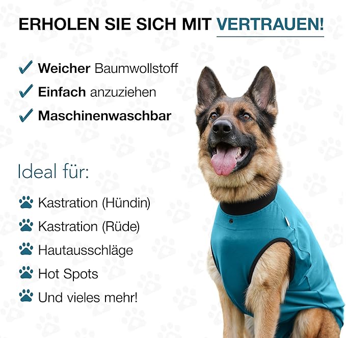 BellyGuard Dog Surgery Recovery Suit, Dog Onesie for Post-Op Care, Recovery Apparel for Female and Male, Surgical Body Cover for Canine Healing Support