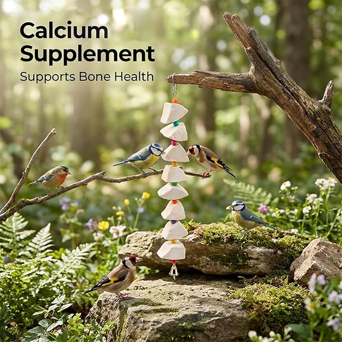 3-Pack Cuttlefish Bone with Volcanic Stone for Parakeets and Small Medium Birds, Cuttlebone for Birds, Natural Beak Care and Calcium Supplement, Cage Enrichment Accessories