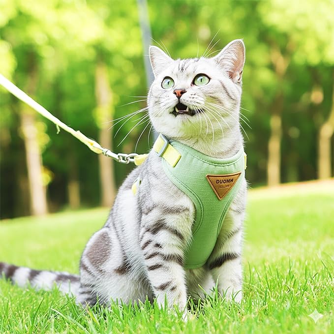 Escape-Proof Cat Harness and Leash Set - Adjustable and Comfortable - Ideal for Walking Cat Outdoors - Fits Small Dogs, Kittens, Medium, and Large Cats (Green, M)