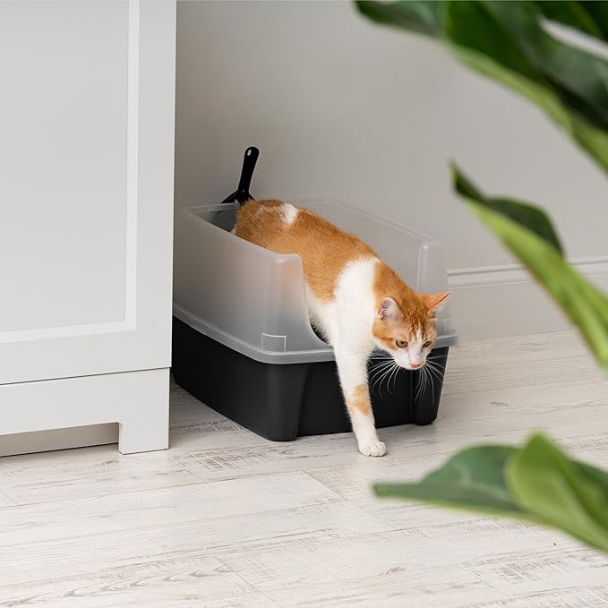 IRIS USA Cat Litter Box Large Open Top with High Sided Walls Tall Scatter Shield Scoop Included Easy Clean Plastic Pan Stain Resistant for Big Cats Kittens Indoor Multi-Cat Households