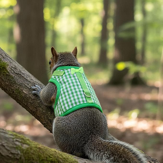 Guinea Pig Harness and Leash,Adjustable Guinea Pig Harness,Elastic Guineas Pigs Leash and Harnes,Ideal for Pet Hamster Squirrel Animals & Safe Pet Supervision(Green Plaid)