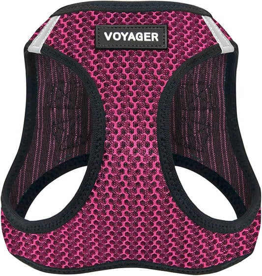 Best Pet Supplies Voyager Step-in Air Harness - All Weather Mesh, Reflective, No Pull Harness for Dogs, Cats - Secure with Hook & Loop Fastener, Buckle, Double D-Rings - Fuchsia 2-Tone, M