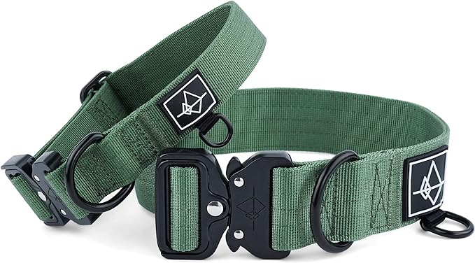 Made to ROAM Premium Dog Collar - Adjustable Heavy Duty Nylon Collar with Quick-Release Metal Buckle (Oregon Haze, Classic Size 1)